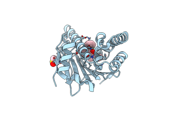 5J9X image