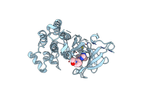 5J9Y image