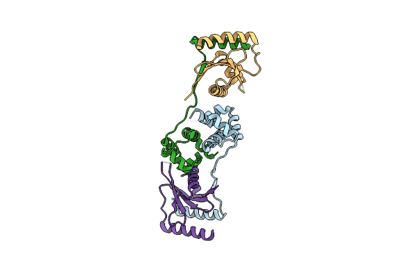 5JAA image