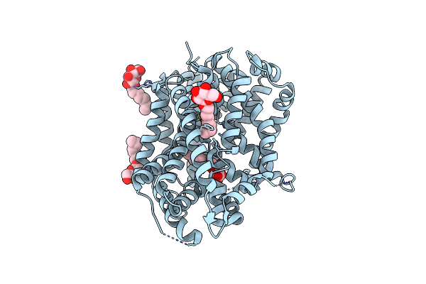 5JAF image