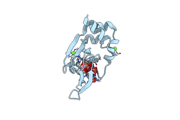 5JAX image