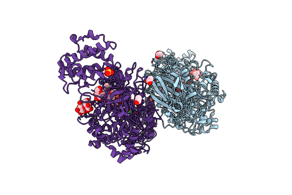 5JBE image
