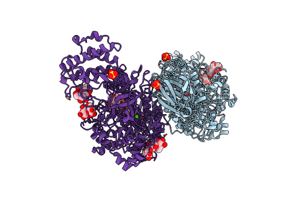 5JBF image