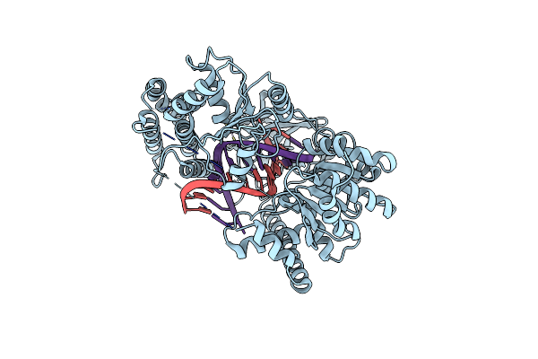 5JBJ image