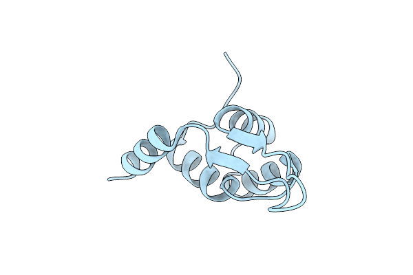 5JBM image