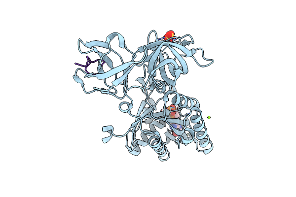 5JBQ image