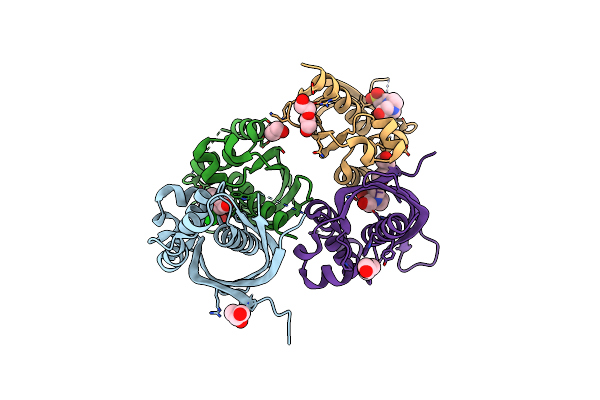 5JBS image