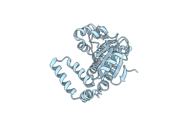 5JBW image