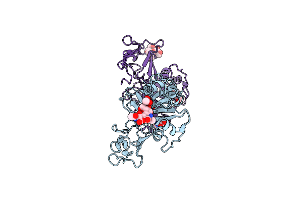 5JCE image