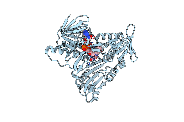 5JCI image
