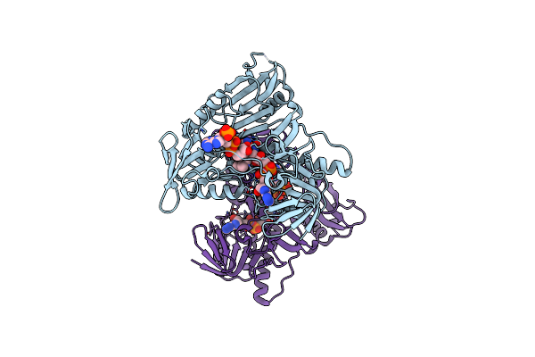 5JCL image