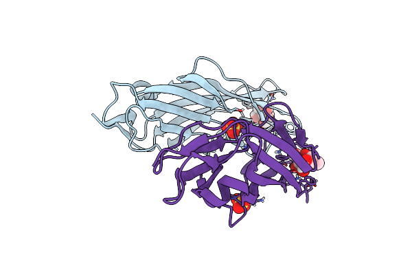 5JCQ image
