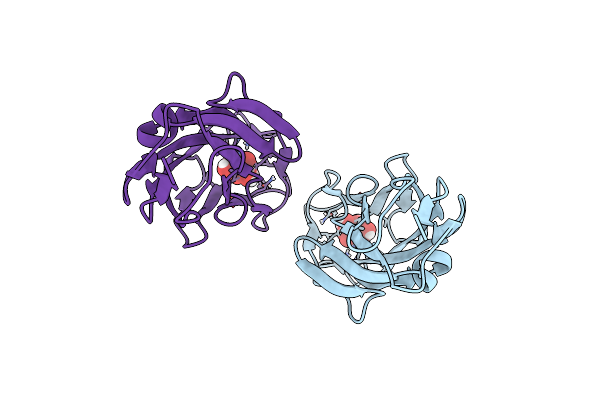 5JCR image