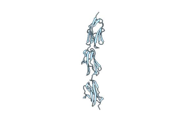 5JDD image
