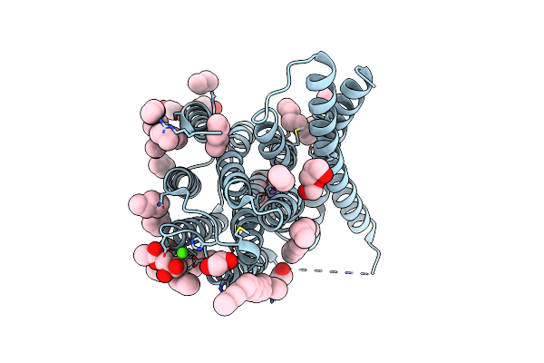 5JDG image