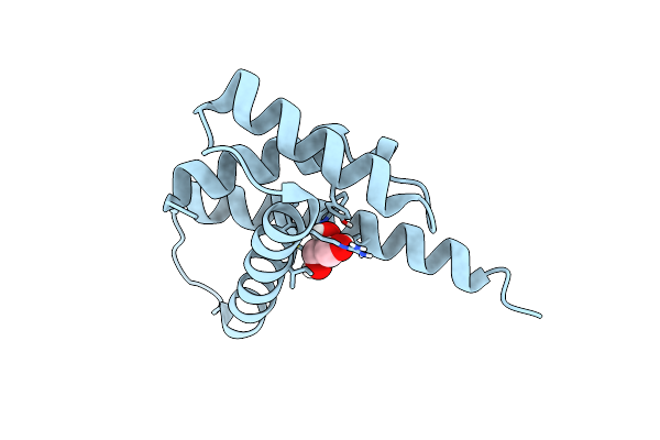 5JDK image