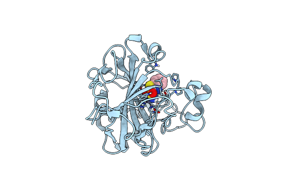 5JDV image