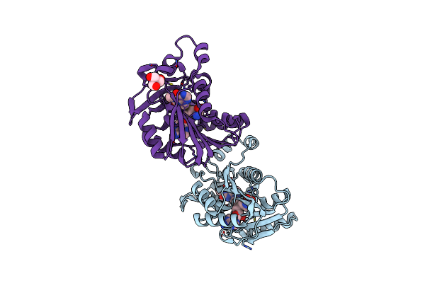 5JDY image