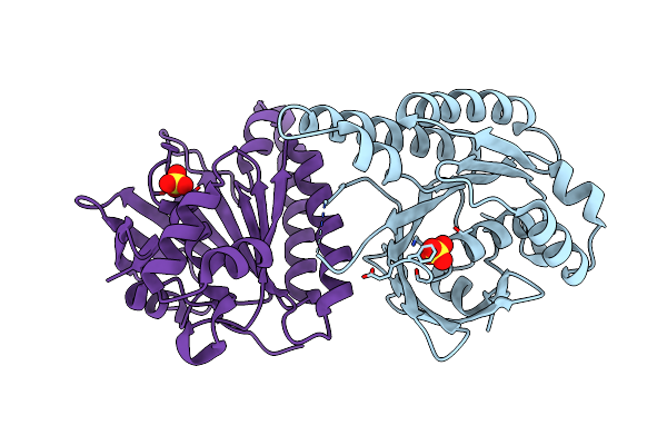 5JEC image