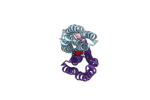5JEF image