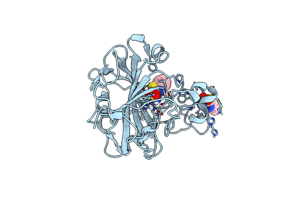 5JEP image