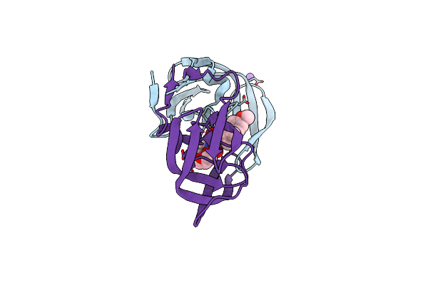 5JFP image