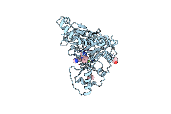 5JFR image