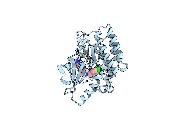 5JFV image