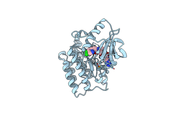 5JFX image