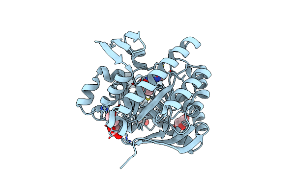 5JGO image