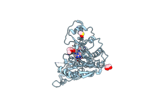5JHU image