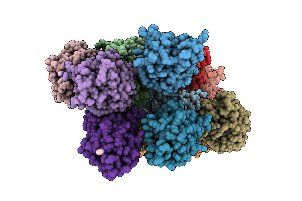 5JIA image