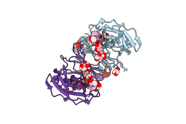 5JII image