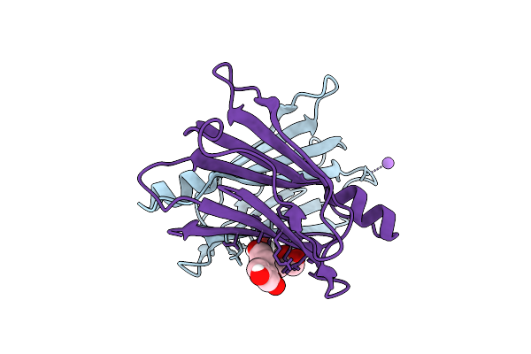 5JIQ image