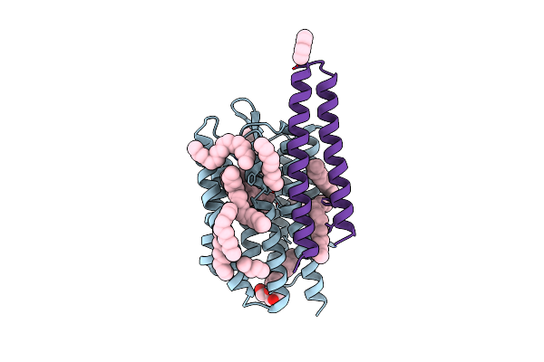 5JJF image