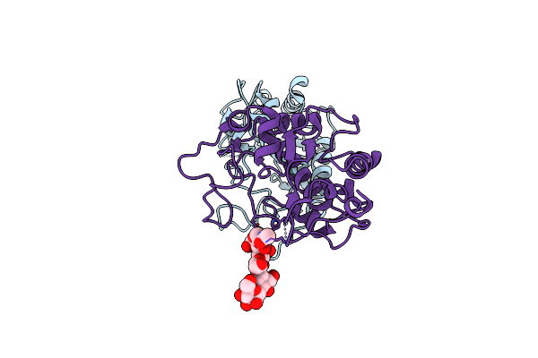 5JKA image