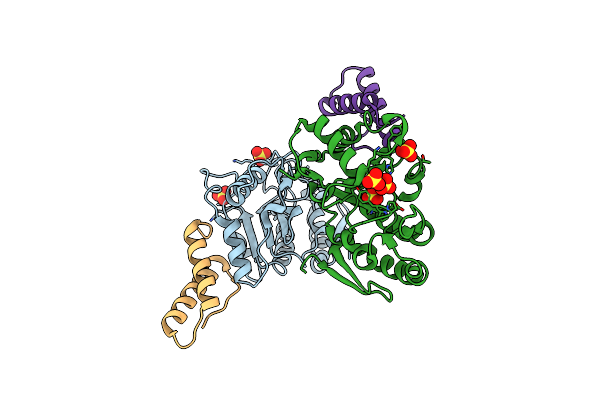5JKR image