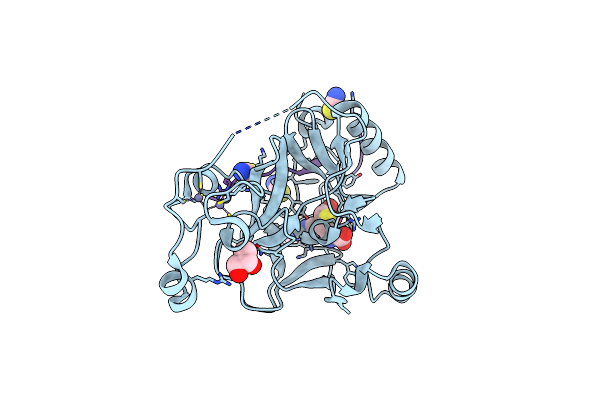 5JLB image