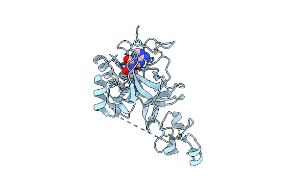 5JLE image