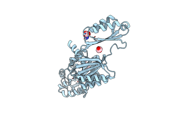 5JLP image