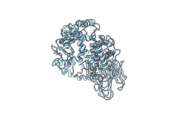 5JMD image