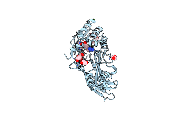5JMQ image