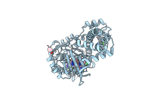 5JMS image