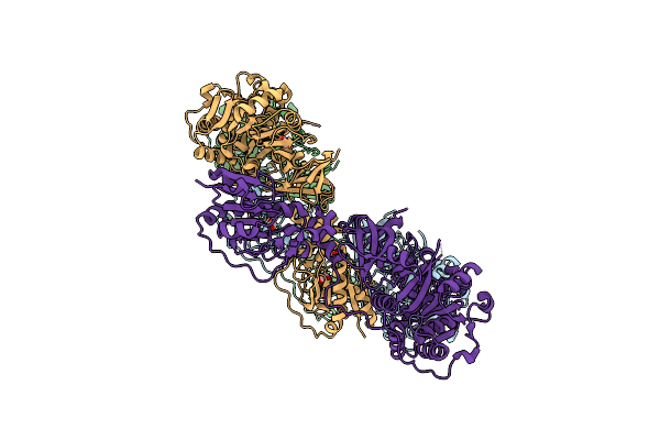 5JNF image