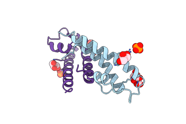 5JNP image