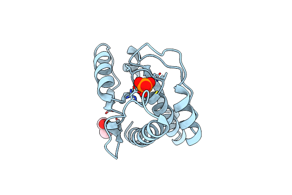 5JNS image
