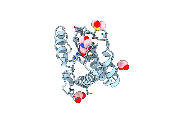 5JNT image