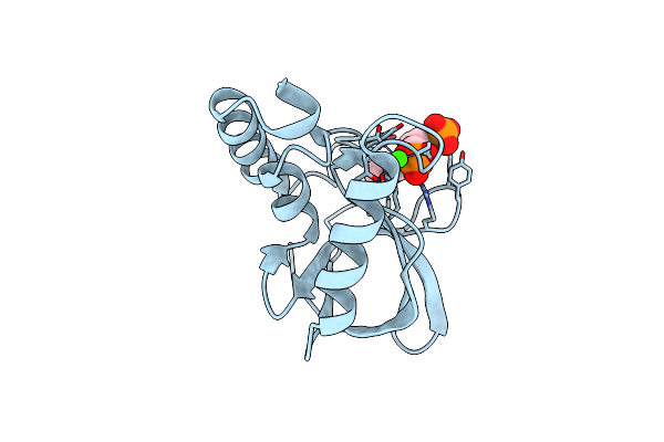 5JOB image