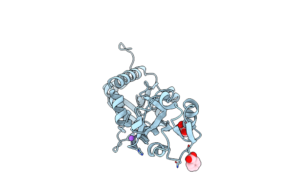 5JOS image