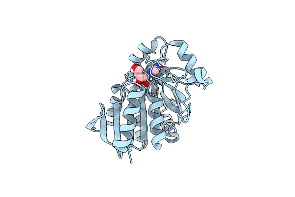 5JPC image